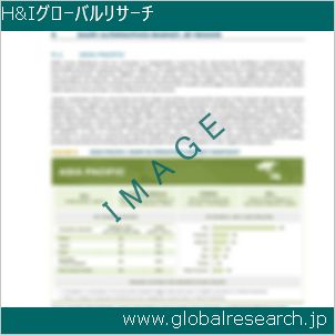 グローバルリサーチ調査レポートのイメージ